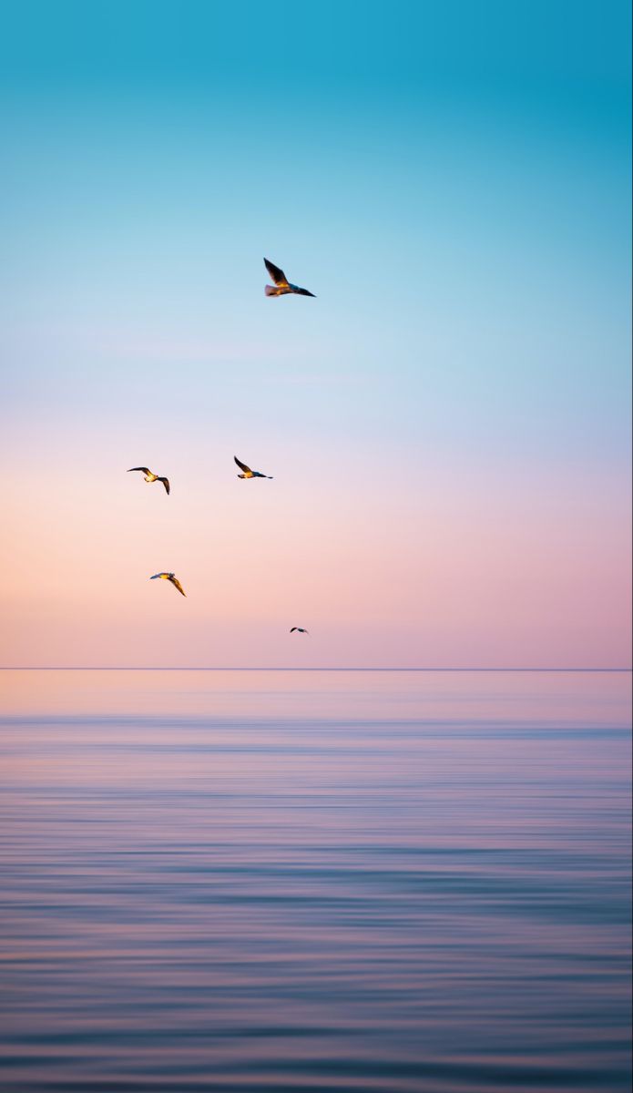 Forgiveness and Healing